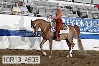 10r13_4503 proof