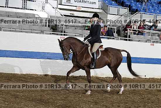 Proof 10r13_4517