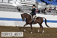 10r13_4517 proof