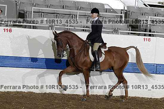 Proof 10r13_4535