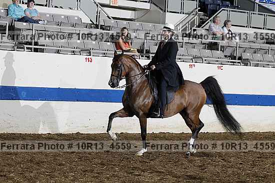 Proof 10r13_4559