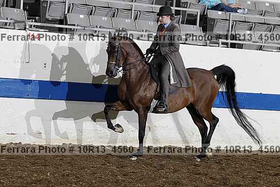 Proof 10r13_4560