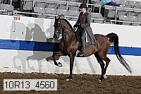 10r13_4560 proof