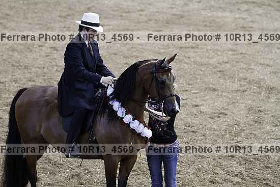 Proof 10r13_4569