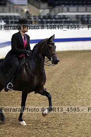 Proof 10r13_4595