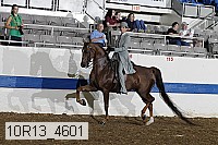 10r13_4601 proof