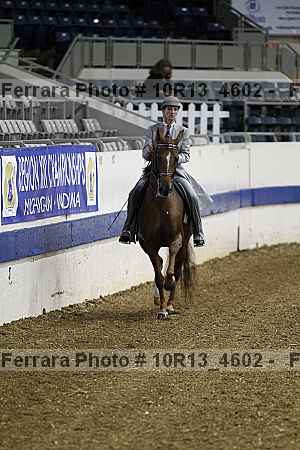 Proof 10r13_4602