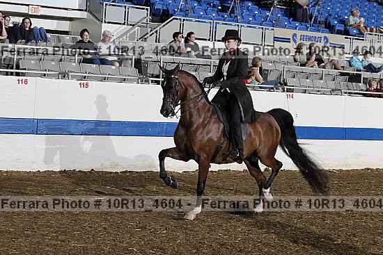 Proof 10r13_4604