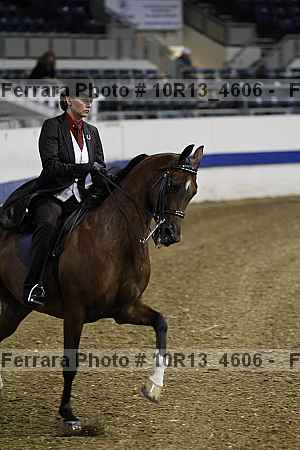 Proof 10r13_4606