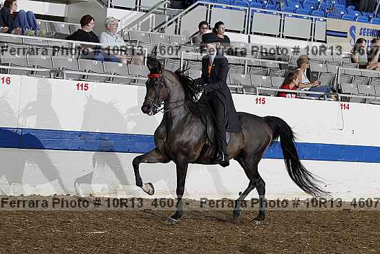 Proof 10r13_4607