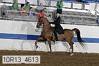 10r13_4613 proof