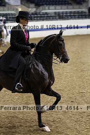 Proof 10r13_4614