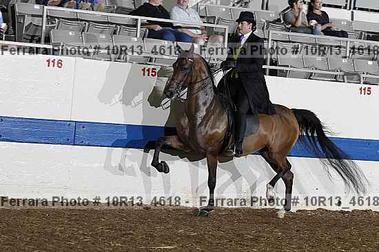 Proof 10r13_4618
