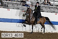 10r13_4618 proof