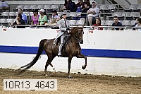 10r13_4643 proof