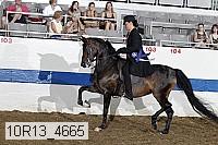 10r13_4665 proof