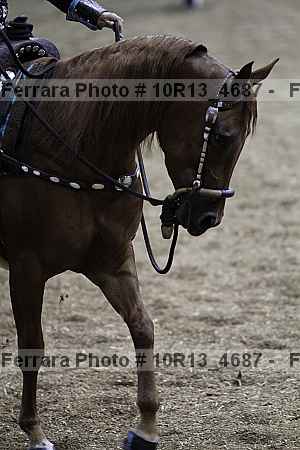 Proof 10r13_4687