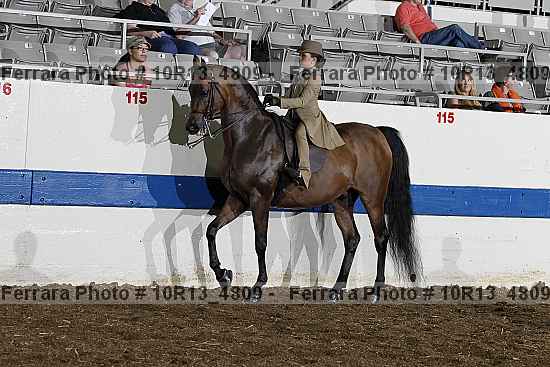 Proof 10r13_4809