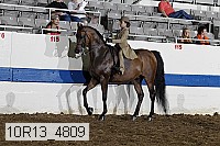 10r13_4809 proof
