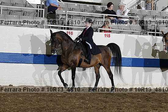 Proof 10r13_4810