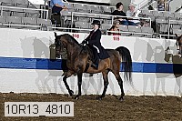 10r13_4810 proof