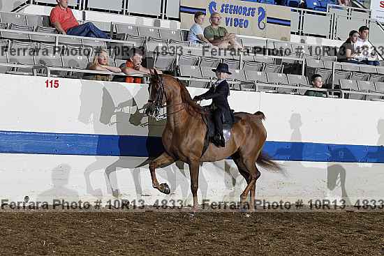 Proof 10r13_4833