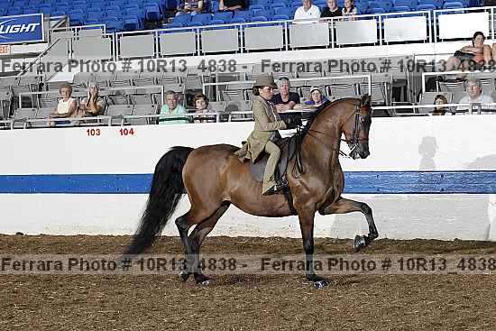 Proof 10r13_4838