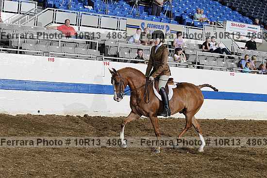 Proof 10r13_4863