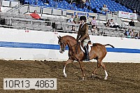 10r13_4863 proof