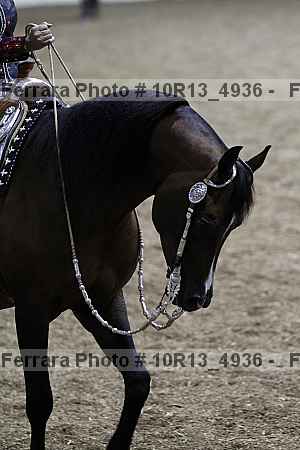 Proof 10r13_4936