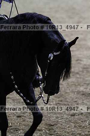 Proof 10r13_4947