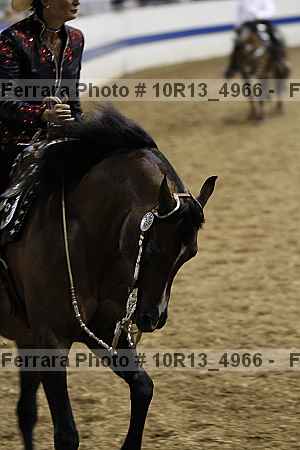 Proof 10r13_4966
