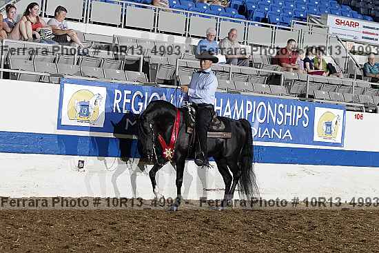 Proof 10r13_4993