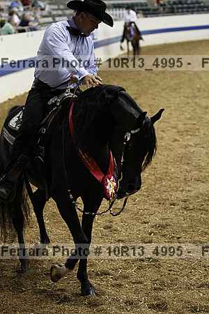 Proof 10r13_4995