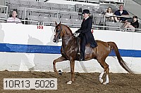 10r13_5026 proof