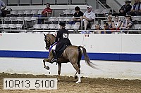 10r13_5100 proof