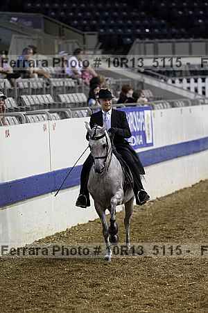 Proof 10r13_5115