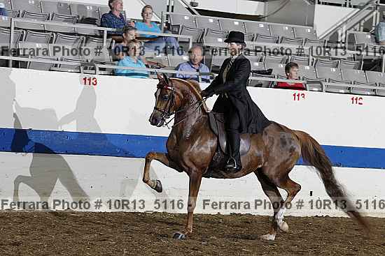 Proof 10r13_5116