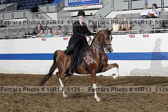 Proof 10r13_5124