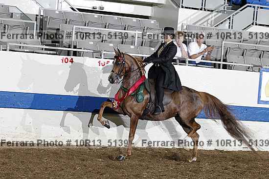 Proof 10r13_5139