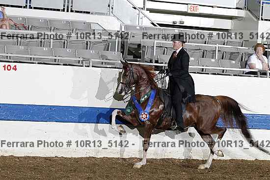 Proof 10r13_5142