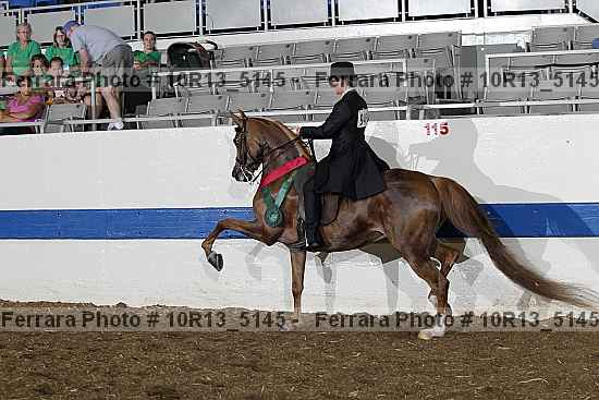 Proof 10r13_5145