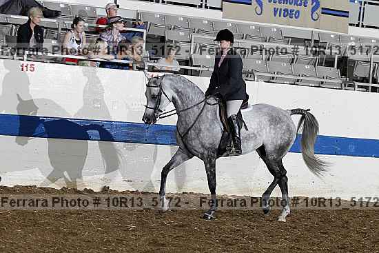 Proof 10r13_5172
