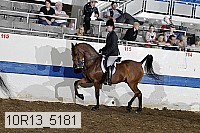 10r13_5181 proof