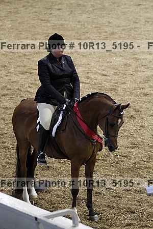 Proof 10r13_5195
