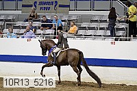 10r13_5216 proof