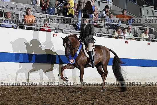 Proof 10r13_5217