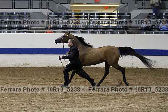 Proof 10r13_5238