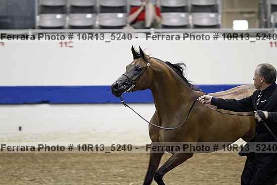 Proof 10r13_5240