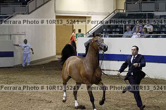 Proof 10r13_5241